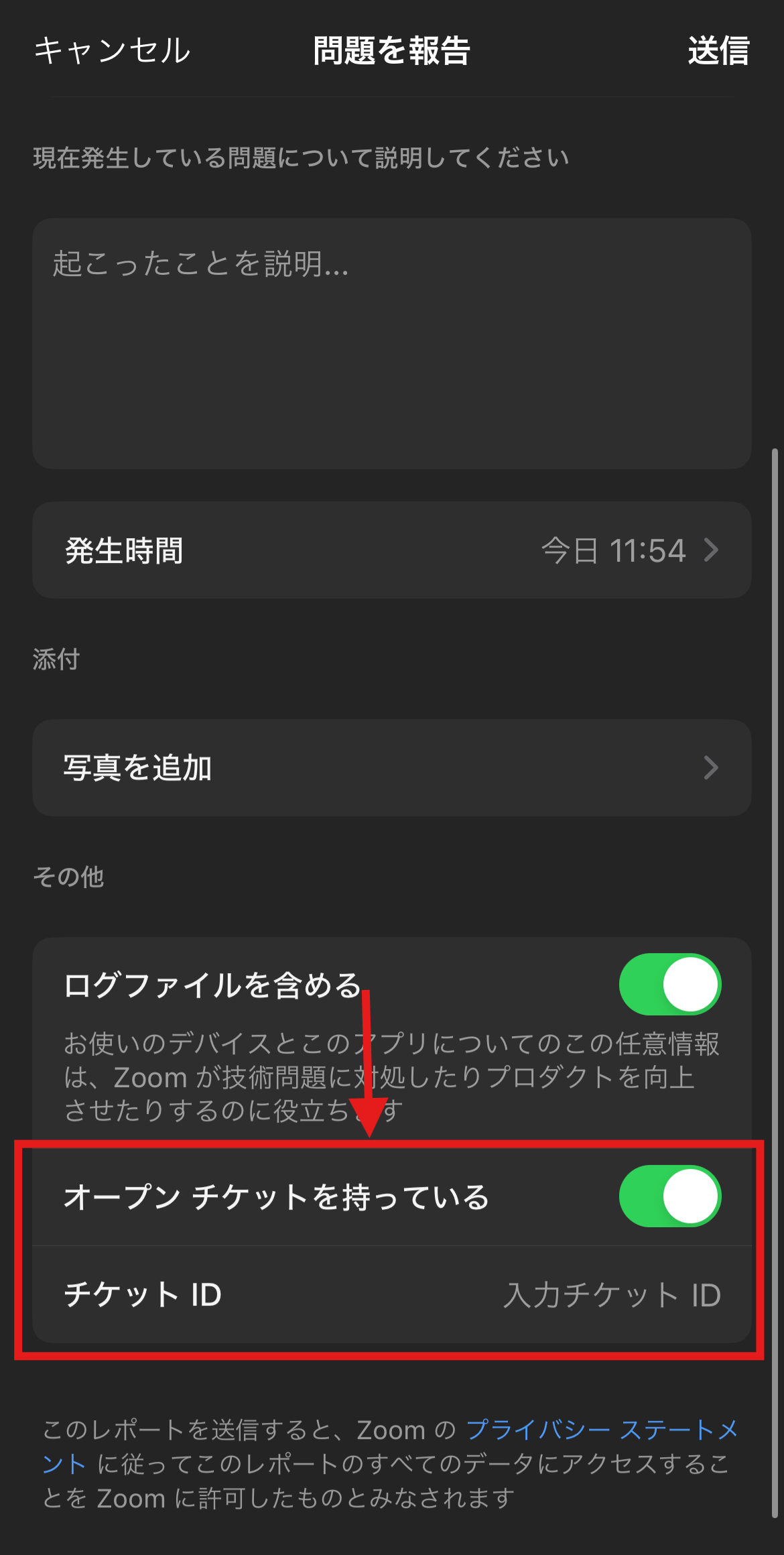 オープンチケットを持っている.png